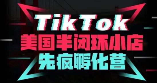 疯人院·TikTok美国半闭环小店孵化营，抢占TikTok美国蓝海市场，开店、运营、带货、投流全实操-网创学社