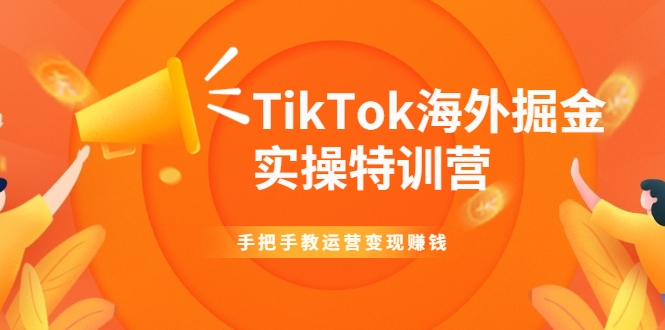 TikTok海外掘金实操特训营：手把手教运营变现赚钱-网创学社