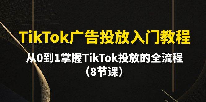 TikTok广告投放入门教程，从0到1掌握TikTok投放的全流程（8节课）-网创学社