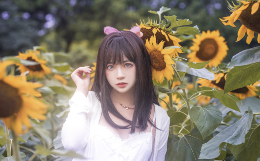 疯猫ss和疯了个猫都是一个人,高冷的长腿妹子