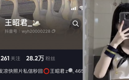 抖音王昭君微密图片合集,洋溢着青春的气息